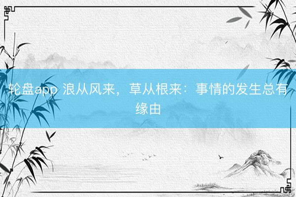 轮盘app 浪从风来，草从根来：事情的发生总有缘由