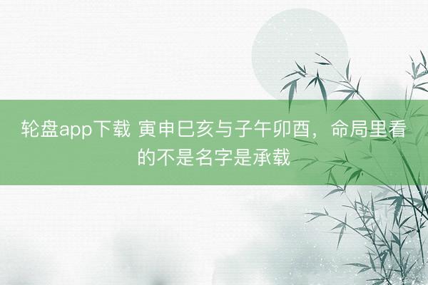轮盘app下载 寅申巳亥与子午卯酉，命局里看的不是名字是承载