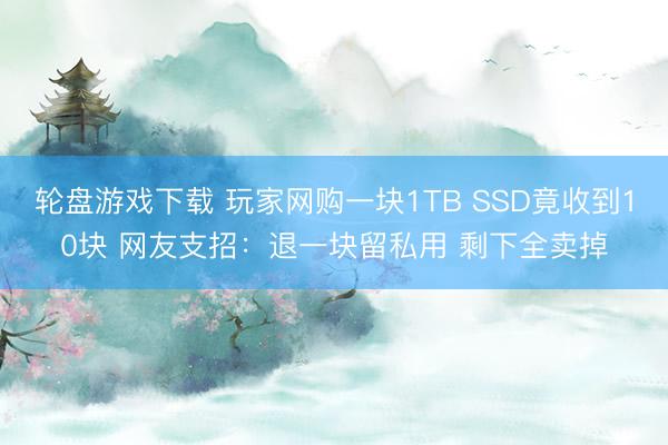 轮盘游戏下载 玩家网购一块1TB SSD竟收到10块 网友支招：退一块留私用 剩下全卖掉
