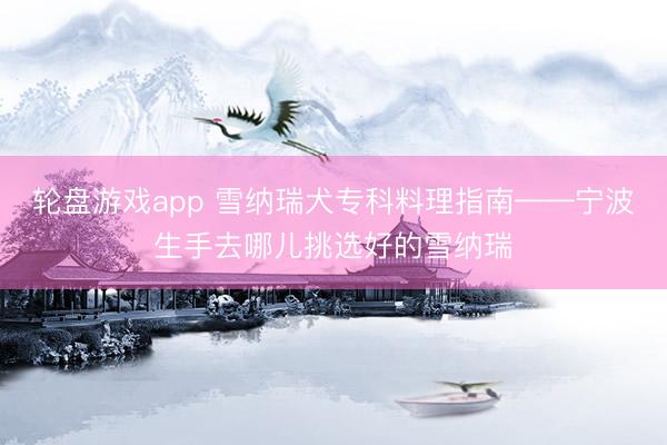 轮盘游戏app 雪纳瑞犬专科料理指南——宁波生手去哪儿挑选好的雪纳瑞