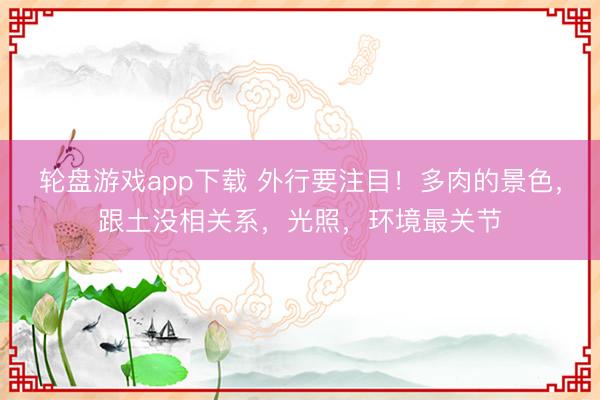 轮盘游戏app下载 外行要注目！多肉的景色，跟土没相关系，光照，环境最关节