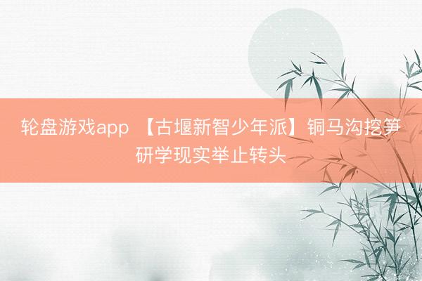 轮盘游戏app 【古堰新智少年派】铜马沟挖笋研学现实举止转头