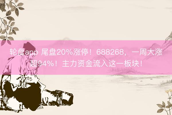 轮盘app 尾盘20%涨停！688268，一周大涨超94%！主力资金流入这一板块！