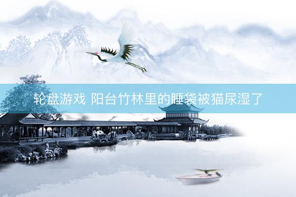 轮盘游戏 阳台竹林里的睡袋被猫尿湿了