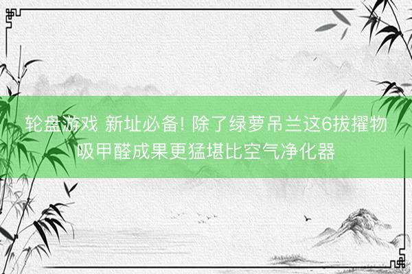 轮盘游戏 新址必备! 除了绿萝吊兰这6拔擢物吸甲醛成果更猛堪比空气净化器