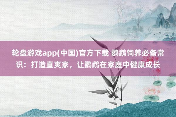 轮盘游戏app(中国)官方下载 鹦鹉饲养必备常识：打造直爽家，让鹦鹉在家庭中健康成长