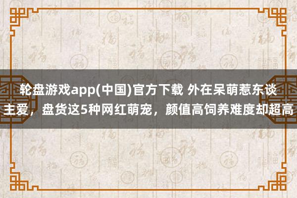 轮盘游戏app(中国)官方下载 外在呆萌惹东谈主爱，盘货这5种网红萌宠，颜值高饲养难度却超高