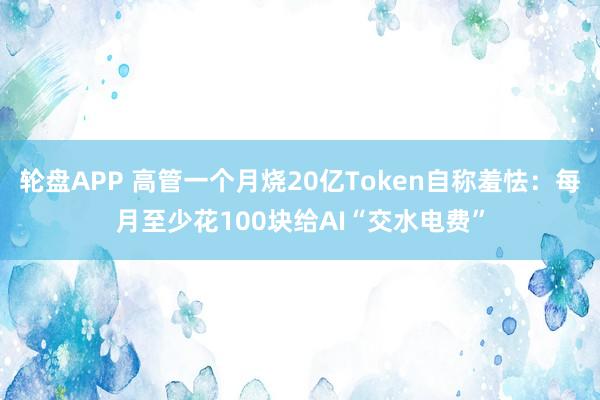 轮盘APP 高管一个月烧20亿Token自称羞怯:每月至少花100块给AI“交水电费”