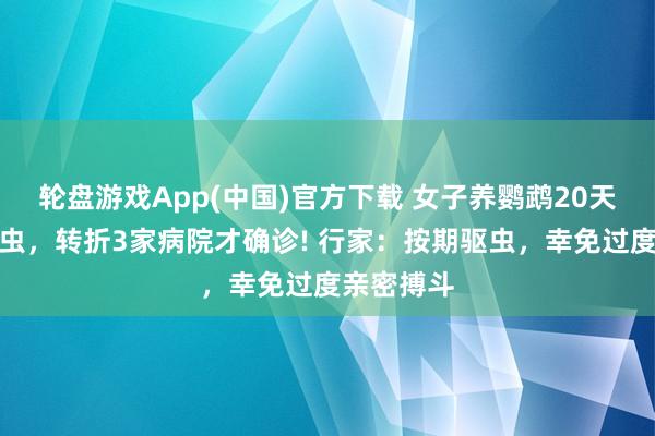 轮盘游戏App(中国)官方下载 女子养鹦鹉20天感染寄生虫，转折3家病院才确诊! 行家：按期驱虫，幸免过度亲密搏斗