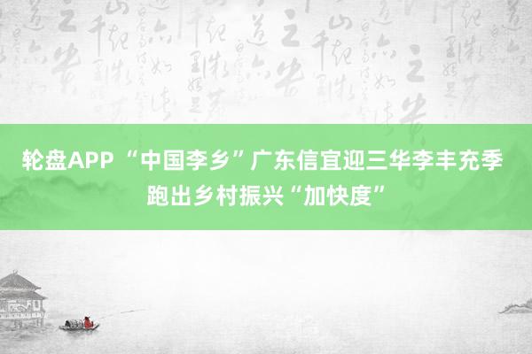 轮盘APP “中国李乡”广东信宜迎三华李丰充季 跑出乡村振兴“加快度”