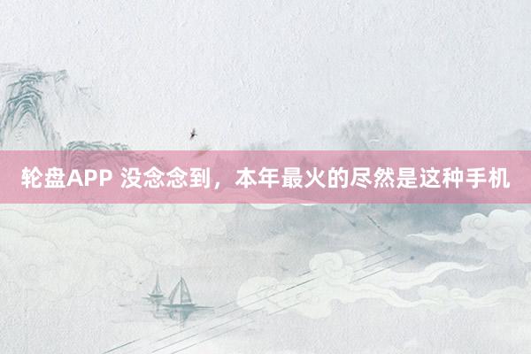 轮盘APP 没念念到，本年最火的尽然是这种手机