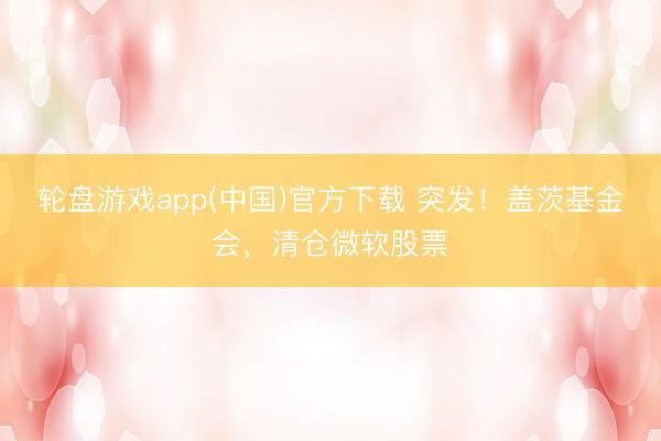 轮盘游戏app(中国)官方下载 突发!盖茨基金会,清仓微软股票