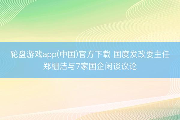 轮盘游戏app(中国)官方下载 国度发改委主任郑栅洁与7家国企闲谈议论