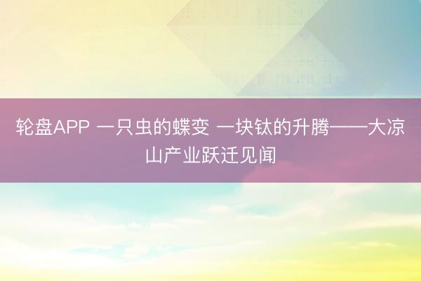 轮盘APP 一只虫的蝶变 一块钛的升腾——大凉山产业跃迁见闻