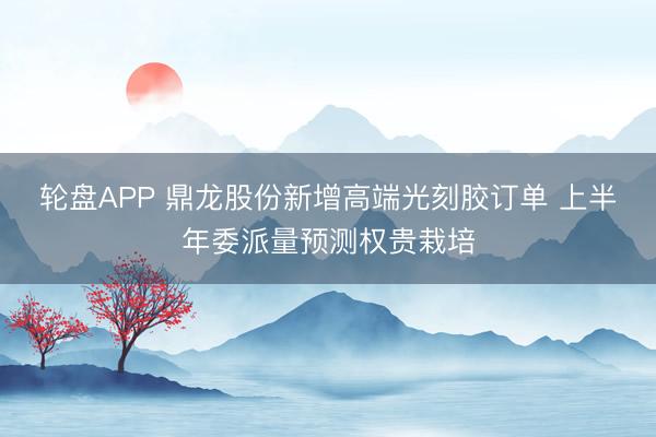 轮盘APP 鼎龙股份新增高端光刻胶订单 上半年委派量预测权贵栽培