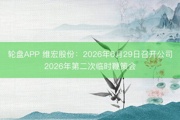 轮盘APP 维宏股份：2026年6月29日召开公司2026年第二次临时鞭策会