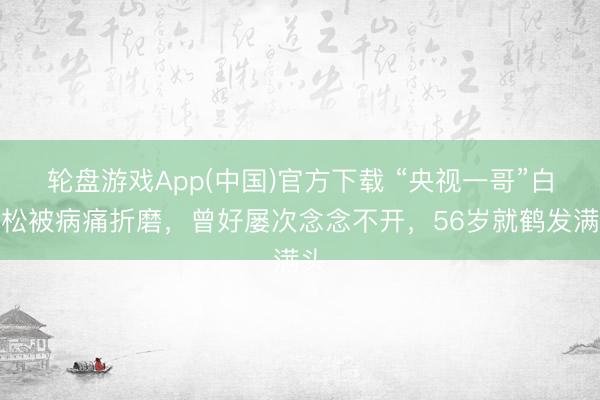 轮盘游戏App(中国)官方下载 “央视一哥”白岩松被病痛折磨，曾好屡次念念不开，56岁就鹤发满头