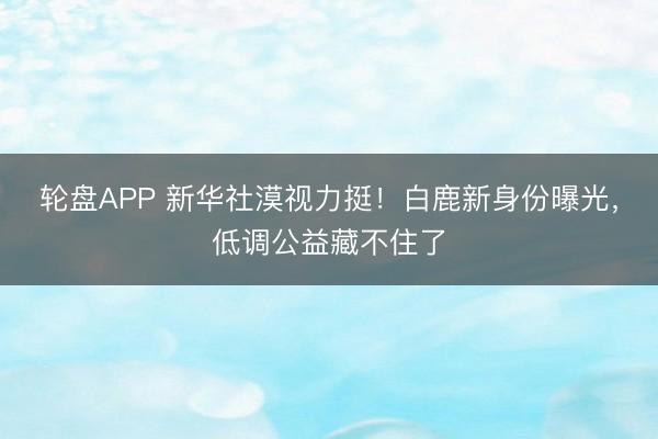 轮盘APP 新华社漠视力挺！白鹿新身份曝光，低调公益藏不住了