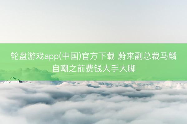 轮盘游戏app(中国)官方下载 蔚来副总裁马麟自嘲之前费钱大手大脚