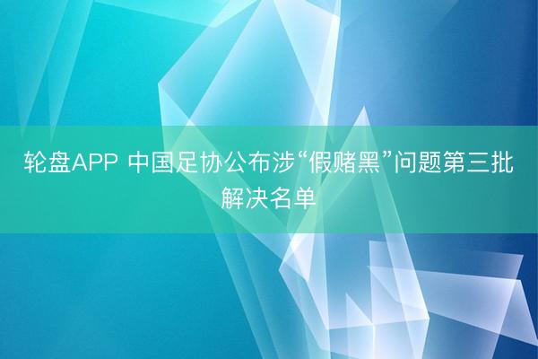 轮盘APP 中国足协公布涉“假赌黑”问题第三批解决名单