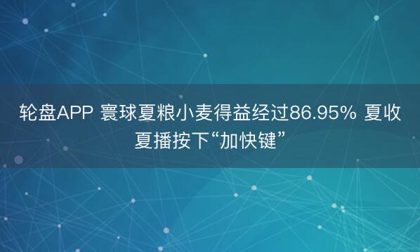 轮盘APP 寰球夏粮小麦得益经过86.95% 夏收夏播按下“加快键”