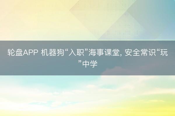 轮盘APP 机器狗“入职”海事课堂， 安全常识“玩”中学