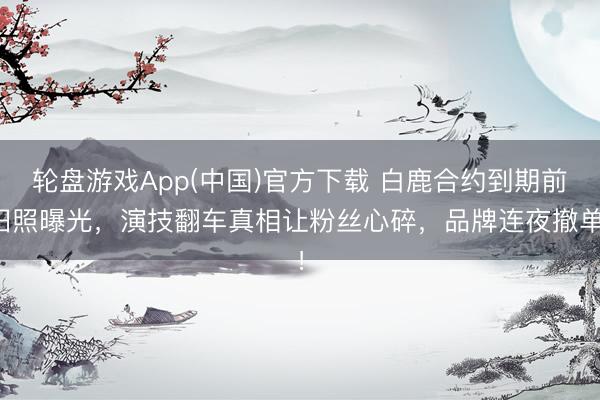轮盘游戏App(中国)官方下载 白鹿合约到期前旧照曝光,演技翻车真相让粉丝心碎,品牌连夜撤单!