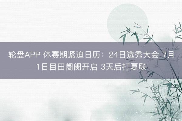 轮盘APP 休赛期紧迫日历：24日选秀大会 7月1日目田阛阓开启 3天后打夏联